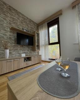 Alexandro Apartmani Zlatibor - Zlatibor - 7