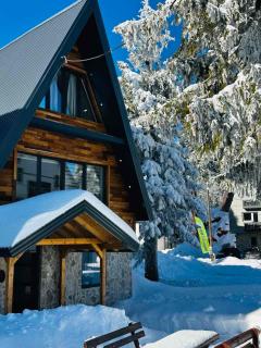 Jahorina Winter Harmony - Jahorina - 9