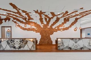SpringHill Suites by Marriott Greenville Downtown - Greenville - 8