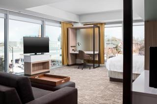 SpringHill Suites by Marriott Greenville Downtown - Greenville - 3