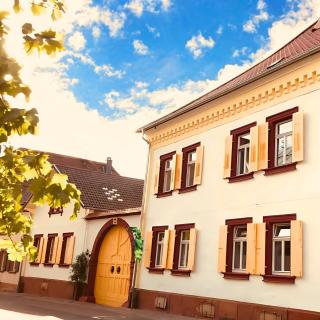 Barocker Hof Rhodt - Rhodt unter Rietburg - 7