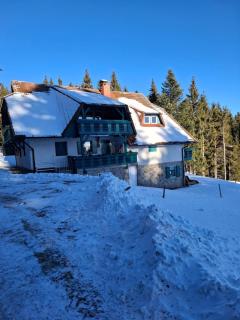 Apartma Jurček Rogla - Rakovec - 9