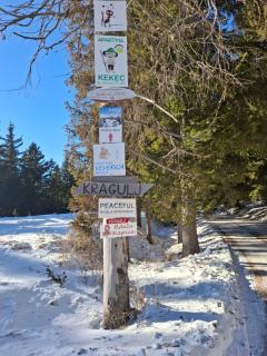 Apartma Jurček Rogla - Rakovec - 7