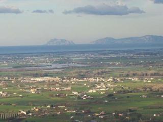 Casale Degli Ulivi Prestige - Altavilla Silentina - 8