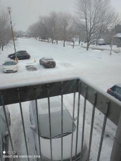 Tranloge - Quebeque - 2