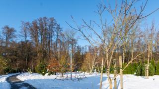 VacationClub - Baltin Apartament 21 - Mielenko - 2