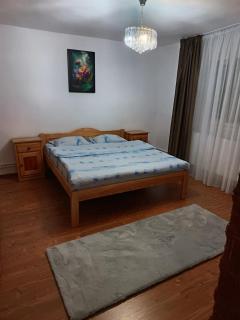 CabanaDobra - Arieşeni - 7