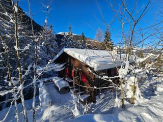 Petit chalet rustique et bucolique - Bovernier - 6