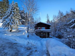 Petit chalet rustique et bucolique - Bovernier - 9