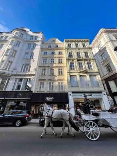 charming apartment with two bedrooms - Vienne - 3