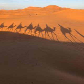 Camp trip luxury - 2