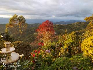 Mirador Finca Morrogacho - Manizales - 0