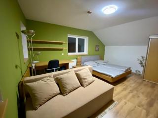 Pod Buchlovem - wellness & sport - Buchlovice - 1