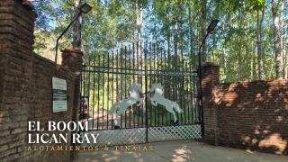 El Boom Lican Ray - Alojamientos & Tinajas - 7