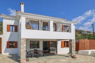 Beachside Villa Causton with private pool - Città di Skiathos - 4