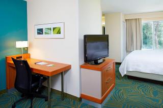 SpringHill Suites by Marriott Atlanta Six Flags - Lithia Springs - 1
