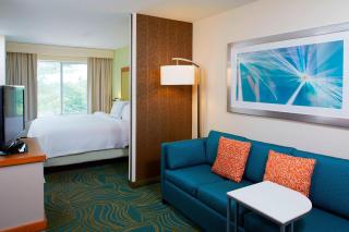 SpringHill Suites by Marriott Atlanta Six Flags - Lithia Springs - 3