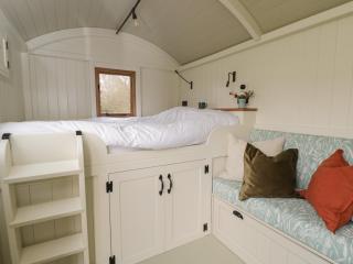 Hazel - Witney - 4