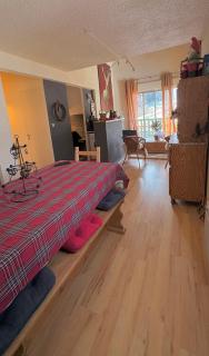 Ax 3 Domaines Plateau de Bonascre Charmant duplex face aux pistes avec terrasse - Ax-les-Thermes - 8