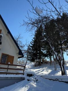 Home rent NABRDO - 7