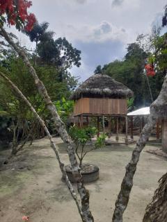 Kausana Huasi - Tena - 7