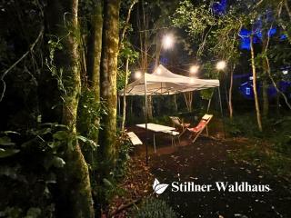 Stillner Waldhaus - Puerto Varas - 3