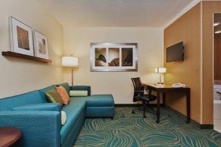 SpringHill Suites Charlotte Lake Norman/Mooresville - Mooresville - 6