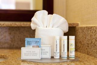 SpringHill Suites Charlotte Lake Norman/Mooresville - Mooresville - 4