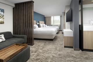 SpringHill Suites by Marriott Atlanta Perimeter Center - Atlanta - 5