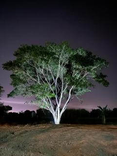 Wisuthida Resort - Wang Saphung - 1