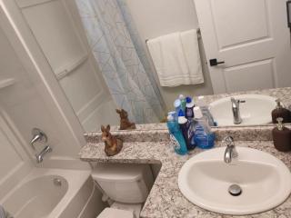 Guest Basement suite in Winnipeg - 8