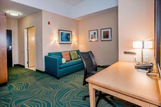 Springhill Suites by Marriott Pueblo Downtown - Pueblo - 4