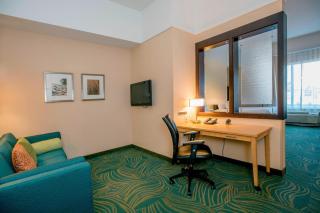 Springhill Suites by Marriott Pueblo Downtown - Pueblo - 2