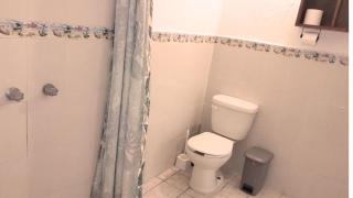 The Octopus's Garden Hostel - La Cruz de Huanacaxtle - 4