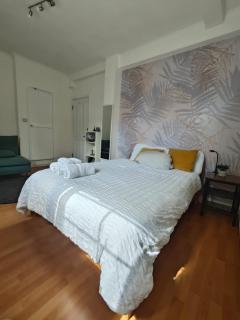 Stunning large double bed room - Londra - 2