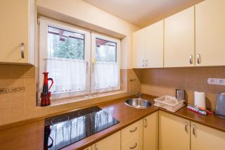 WHY NOT Apartamenty Leśne Zacisze ul Sobiczkowa 4 - Kościelisko - 1