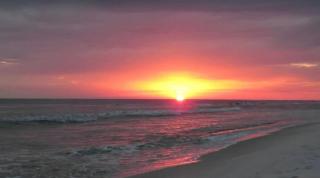 Grand Panama 902 - Panama City Beach - 4