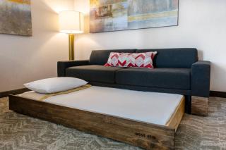 SpringHill Suites by Marriott Columbia - Columbia - 4