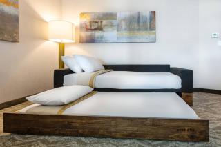 SpringHill Suites by Marriott Columbia - Columbia - 3