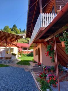 Pensiunea Daiana - Albac - 6