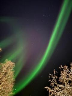 Villa Oitola I Parking I Sauna I Wifi I Lake I Rural I Forest I Ideal for Aurora spotting - 5