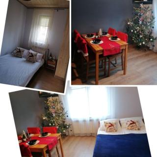 Noclegi u Izy Ustrzyki Dolne - 9
