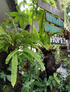 Coliving Bali SWEET HOME Kost Lengkap di Tabanan Kota - Tabanan - 2