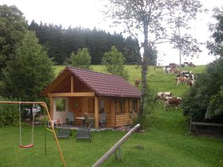 Willmannshof - Furtwangen - 1