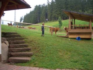 Willmannshof - Furtwangen - 3