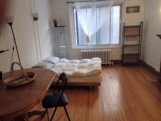 Antic Style with high ceiling - Montreal - 3