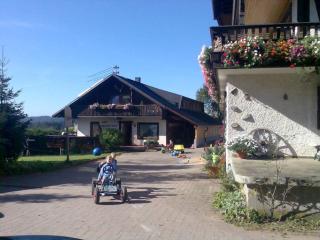 Willmannshof - Furtwangen - 7