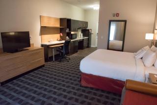 TownePlace Suites by Marriott Battle Creek - 5