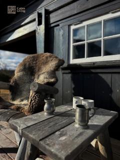 Cozy and warm mountain cabin in Dagali - Hol - 6