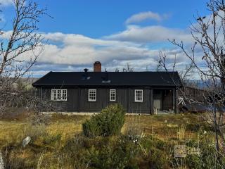 Cozy and warm mountain cabin in Dagali - Hol - 9